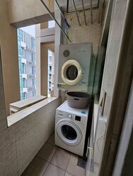 The Oxley (D9), Apartment #507767651